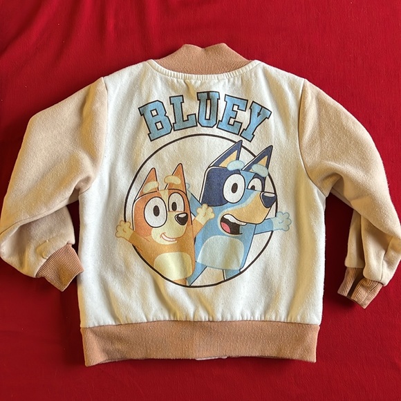 Other - FINAL PRICE - Bluey Sweater Jacket